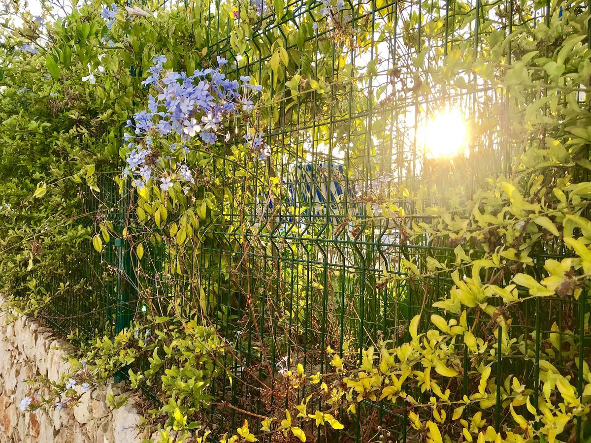 Appartamento Marina Garden By Ethnic Ocean Vilamoura Esterno foto